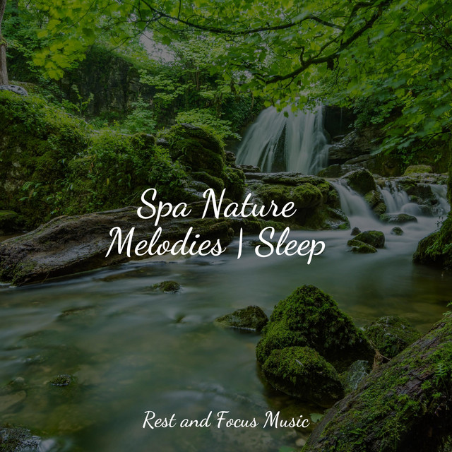 Spa Nature Melodies | Sleep - Album by Preschool Kids | Spotify