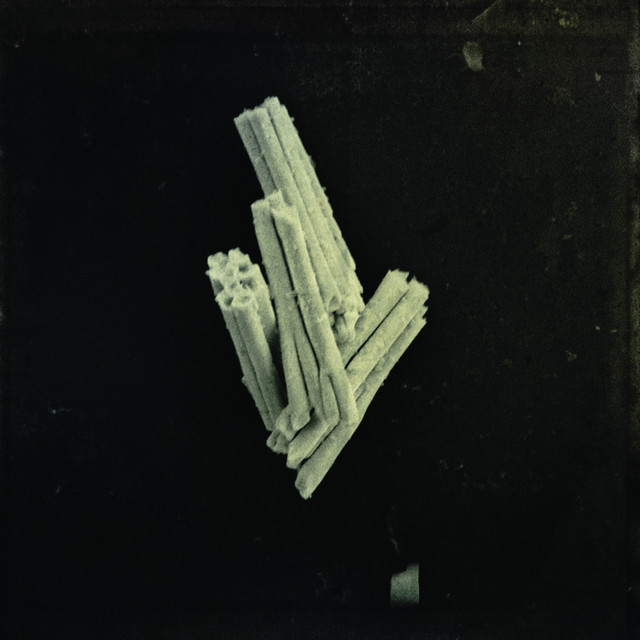Prayer Before Birth cover art