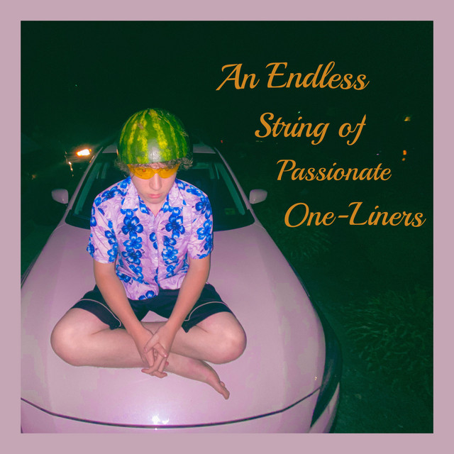 An Endless String of Passionate One-Liners cover art