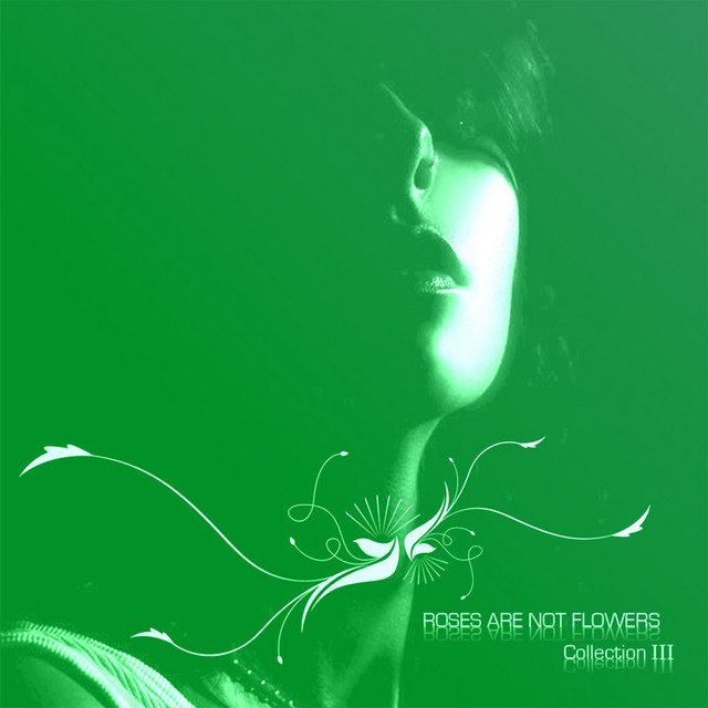 Roses are not flowers 3 cover
