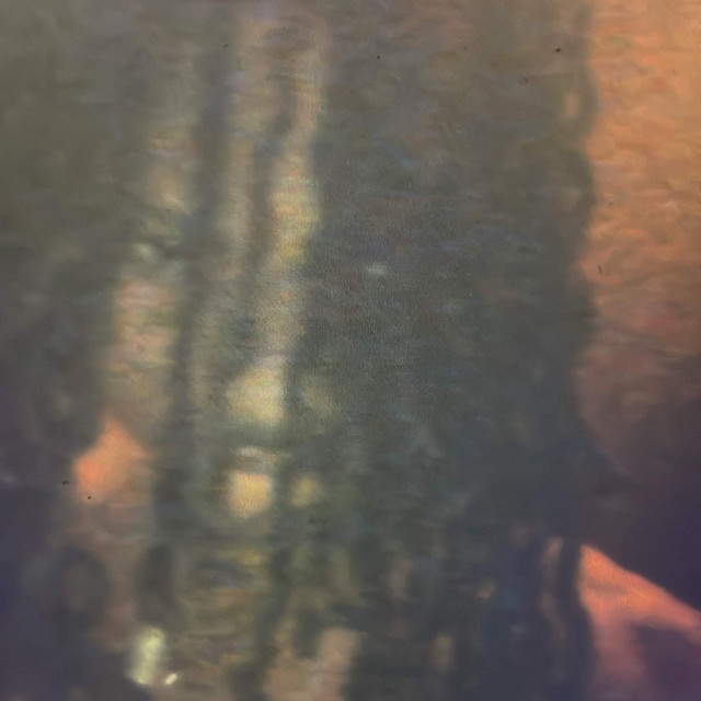 Prince of Venus cover art