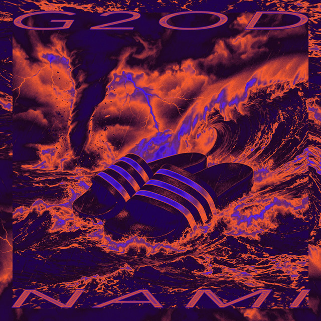 Nami cover