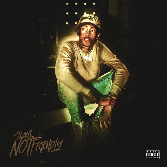 Not Friendly cover art