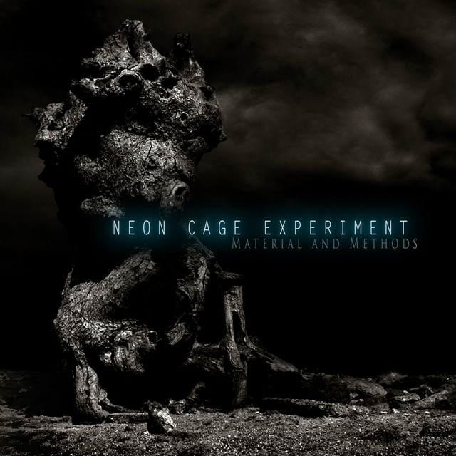 Neon Cage Experiment Photo