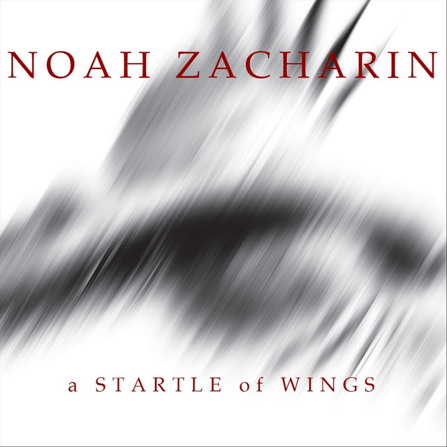 A Startle of Wings cover