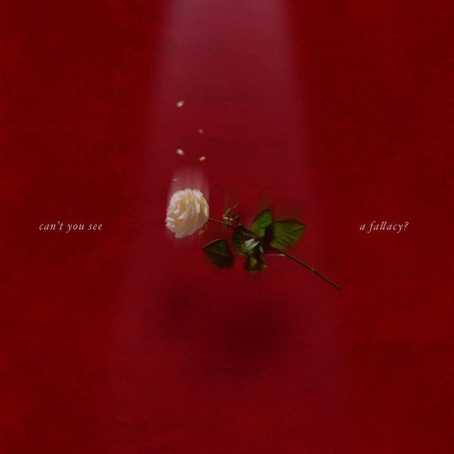 Can't you see a Fallacy? cover art