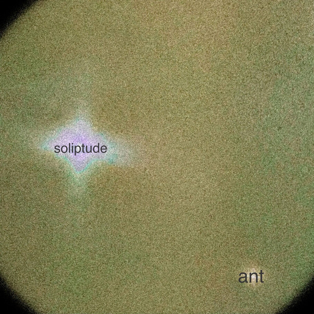 Soliptude cover art