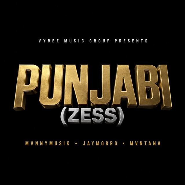 Punjabi (Zess)