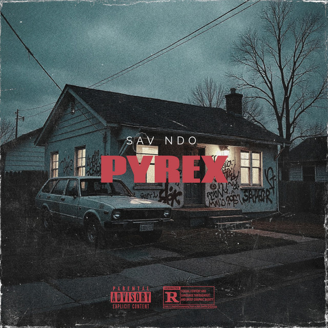 Pyrex - song and lyrics by Sav NDO | Spotify