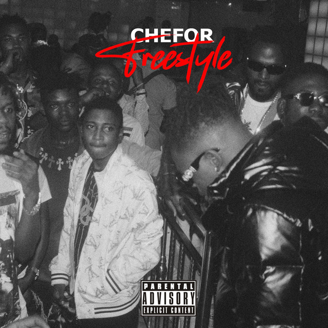 Freestyle cover art