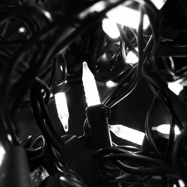 You Are Not the Only Light cover art