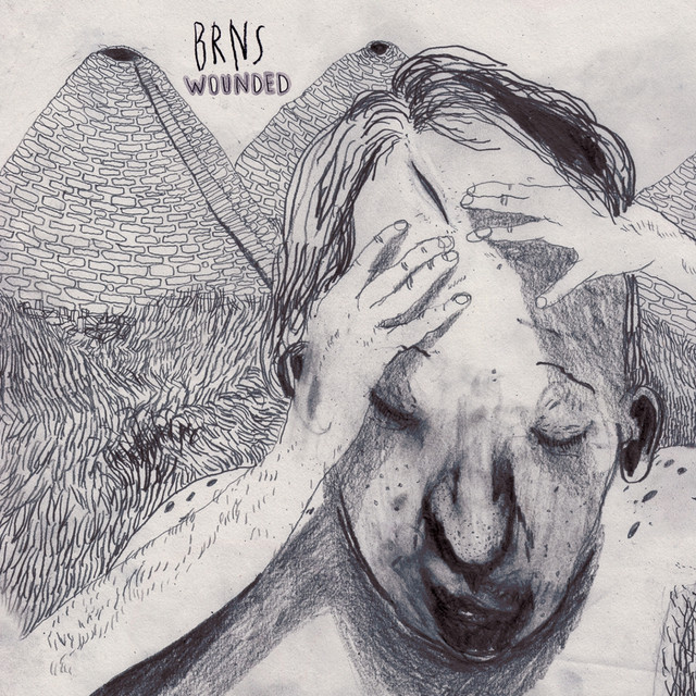 Wounded cover art