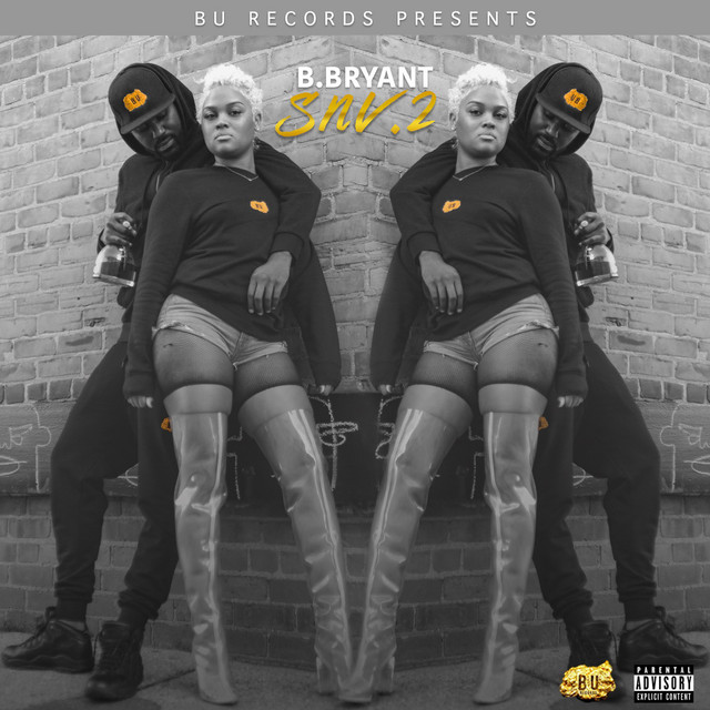 SNV. 2 cover art