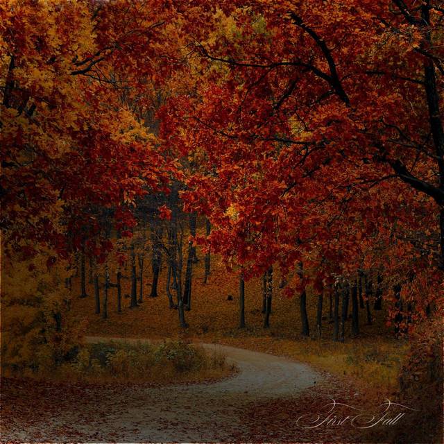 First Fall cover