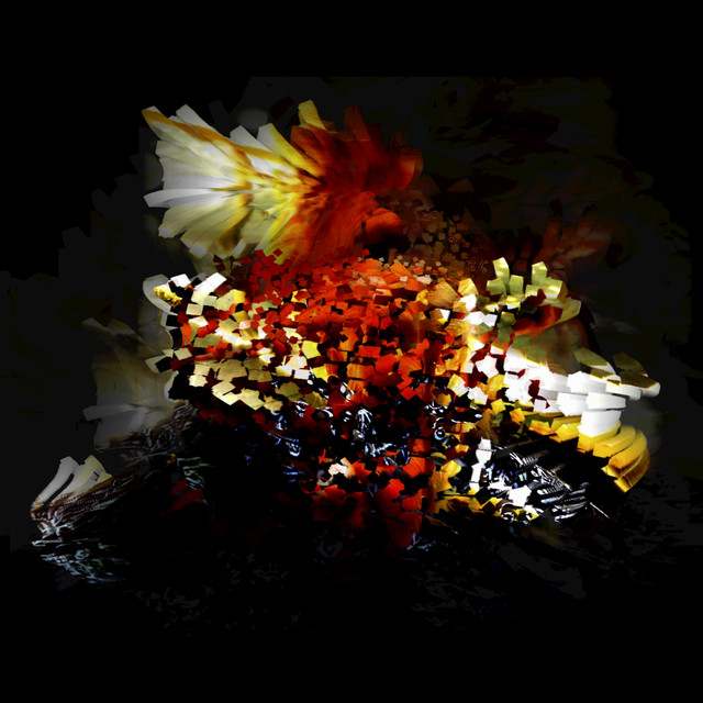 undefined album image