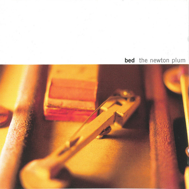 The Newton Plum cover art
