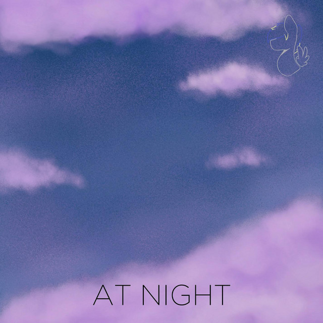 At Night cover