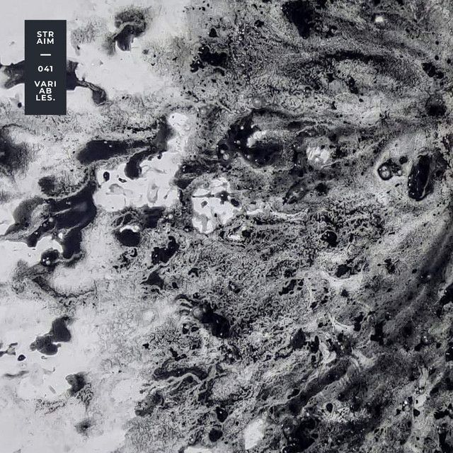 variables. cover art