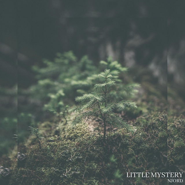 Little Mystery cover art