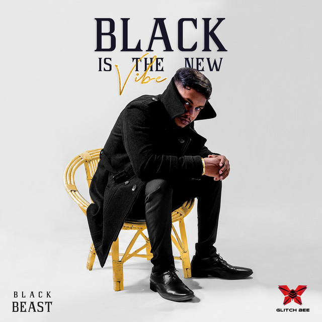 BLACK IS THE NEW VIBE cover art