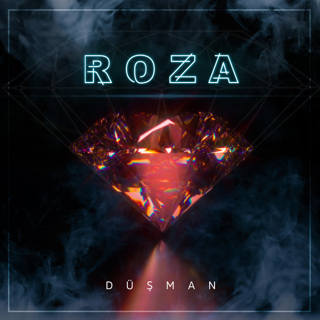 Düşman cover art