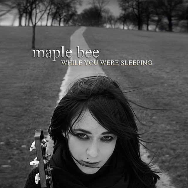 While You Were Sleeping E.P cover