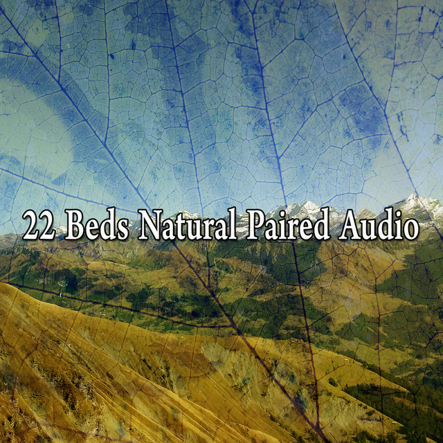 22 Beds Natural Paired Audio - Album by Sleep Sounds of Nature | Spotify