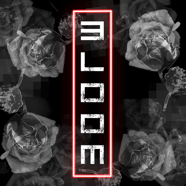 Bloom RMX cover