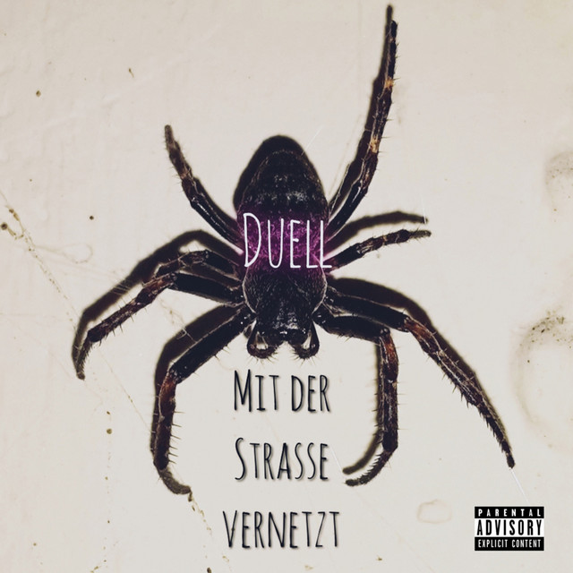 Mit der Strasse vernetzt