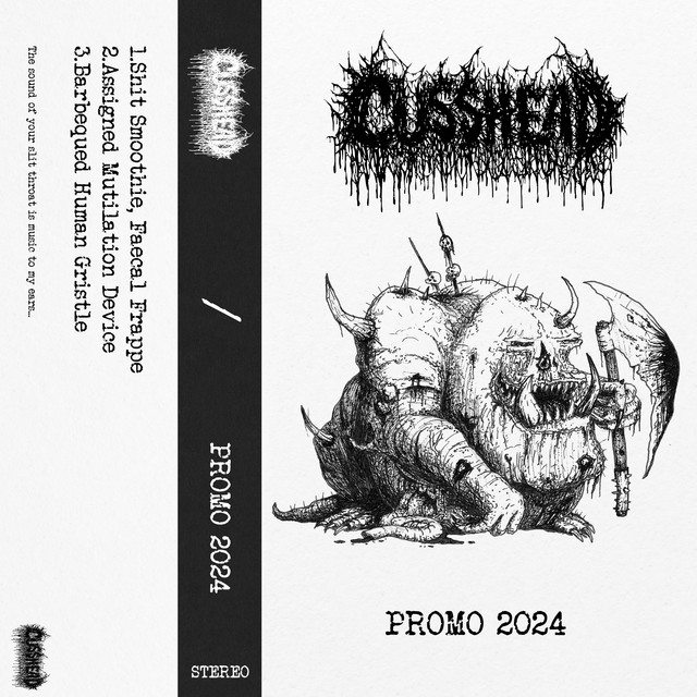 PROMO 2024 cover art