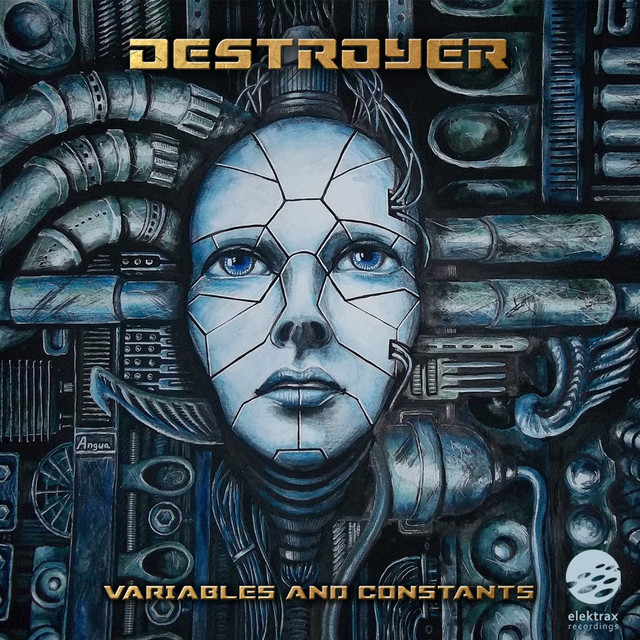 Variables & Constants cover art