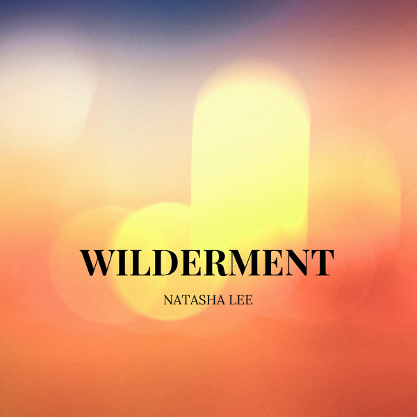 Wilderment cover art