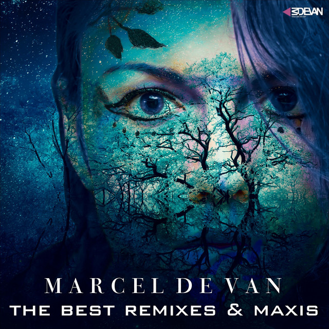 The Best Remixes & Maxis cover art