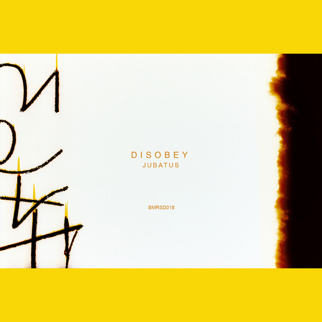 Disobey cover art