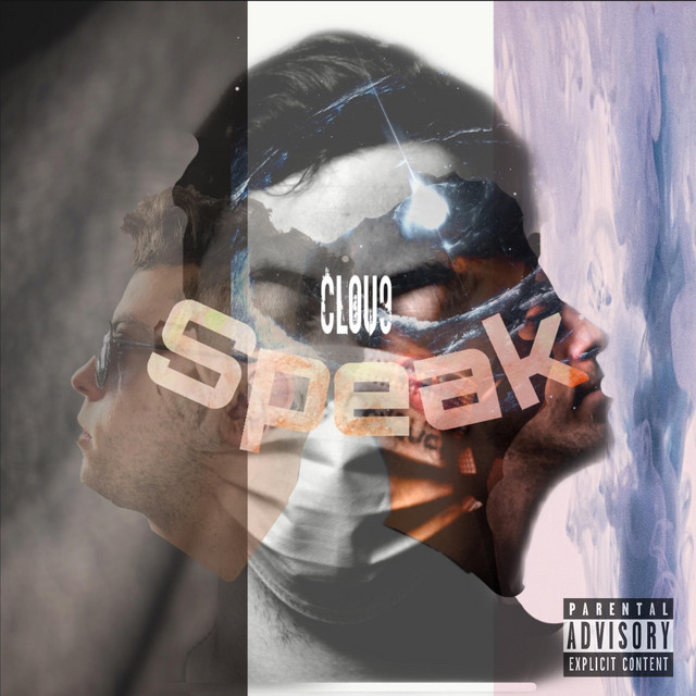 Never Comin Down cover art