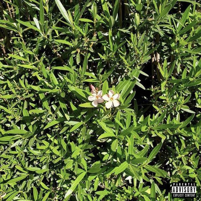 Golden cover art
