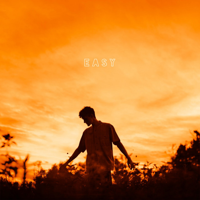 easy cover art