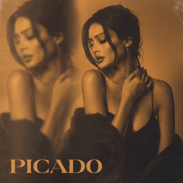 Picado album image