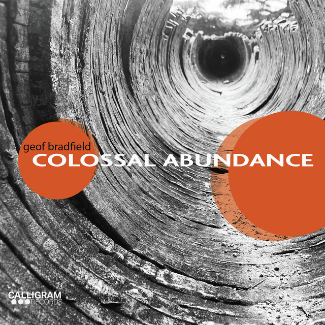 Colossal Abundance cover art
