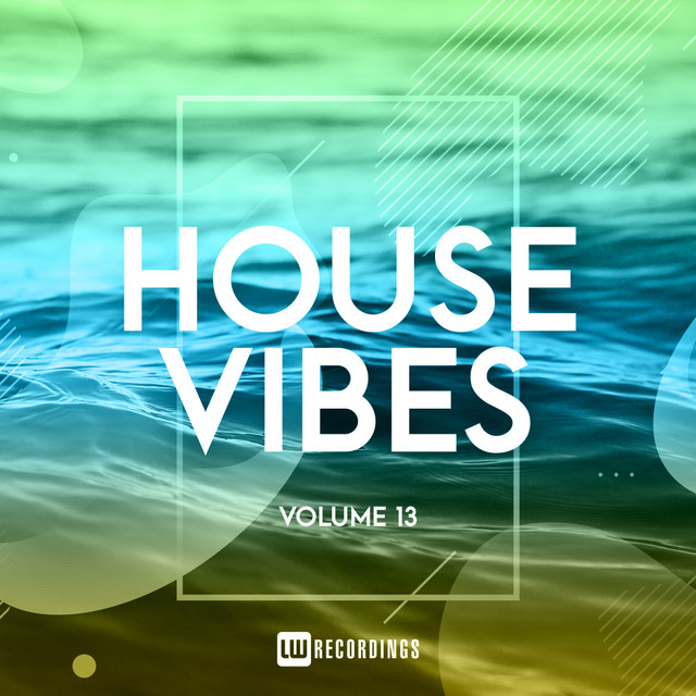 House Vibes, Vol. 13 cover art
