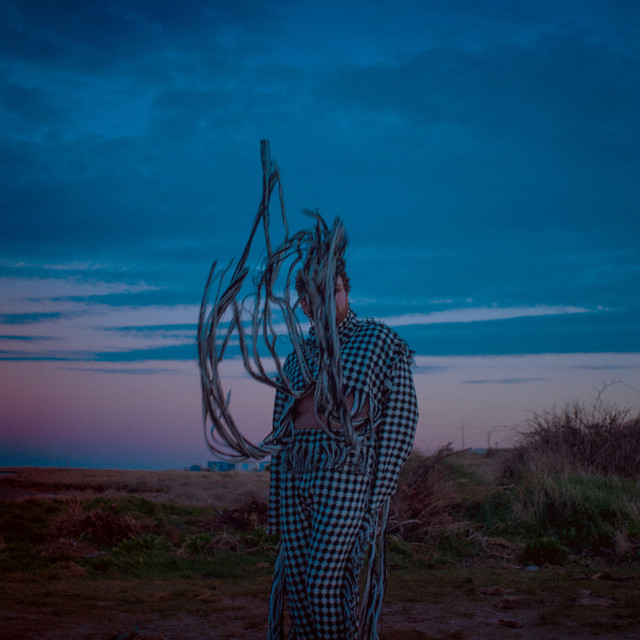 undefined album image