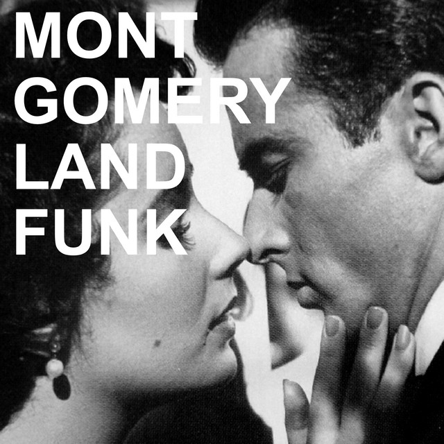Montgomery Land Funk cover art