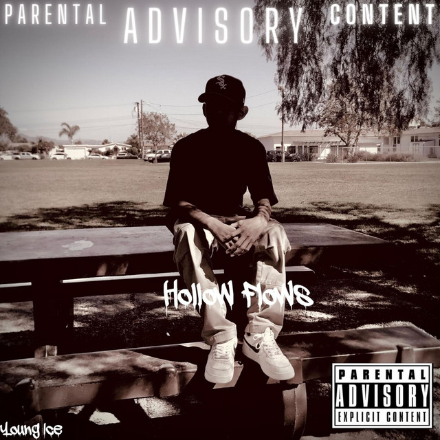 HOLLOW FLOWS