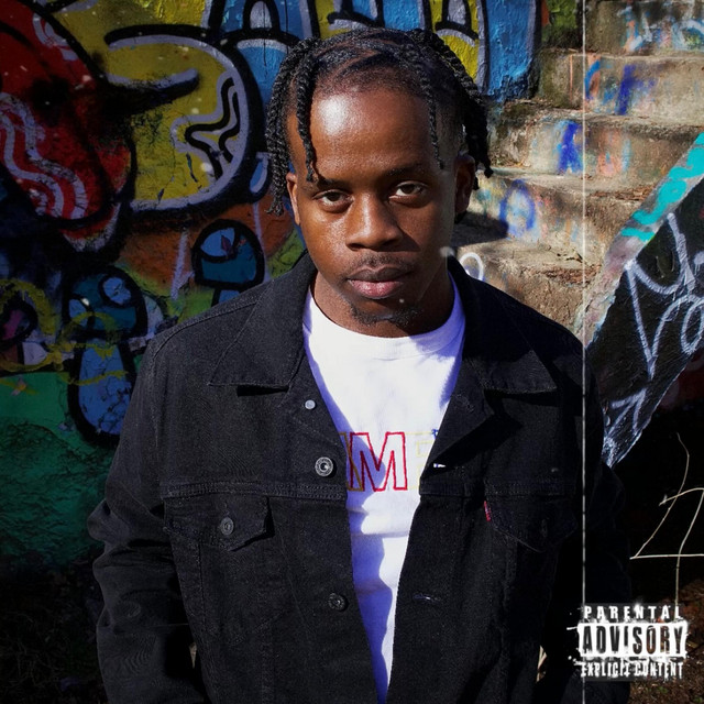 Z I 3 R E cover art