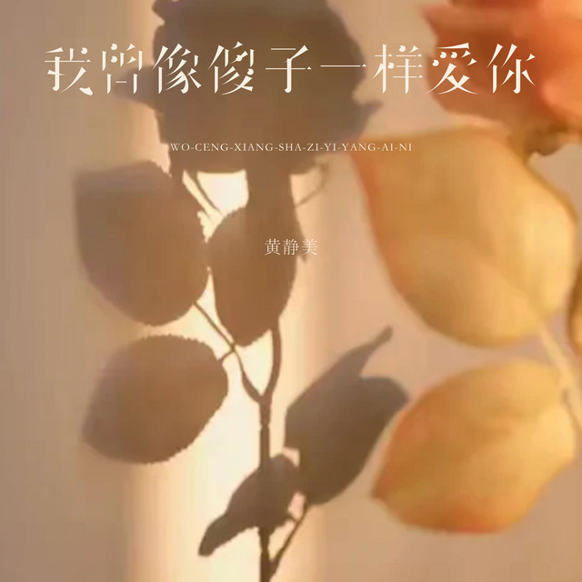 我曾像傻子一样爱你 - DJEva版