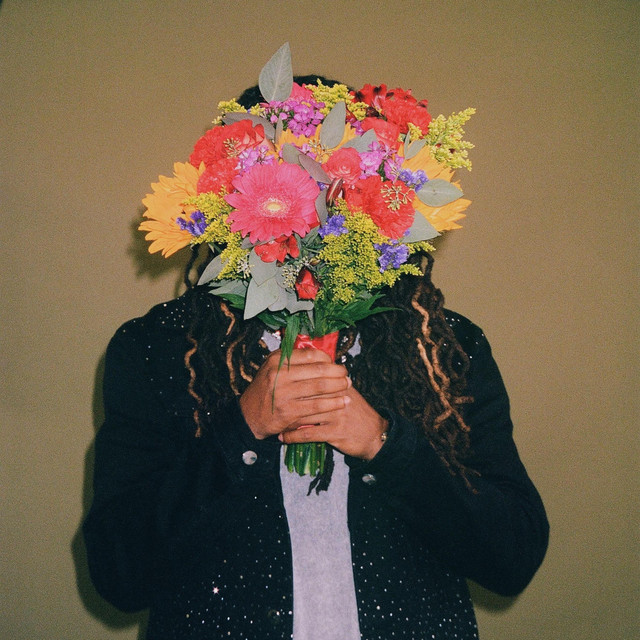 LATE BLOOMER cover art