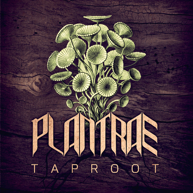Taproot cover art