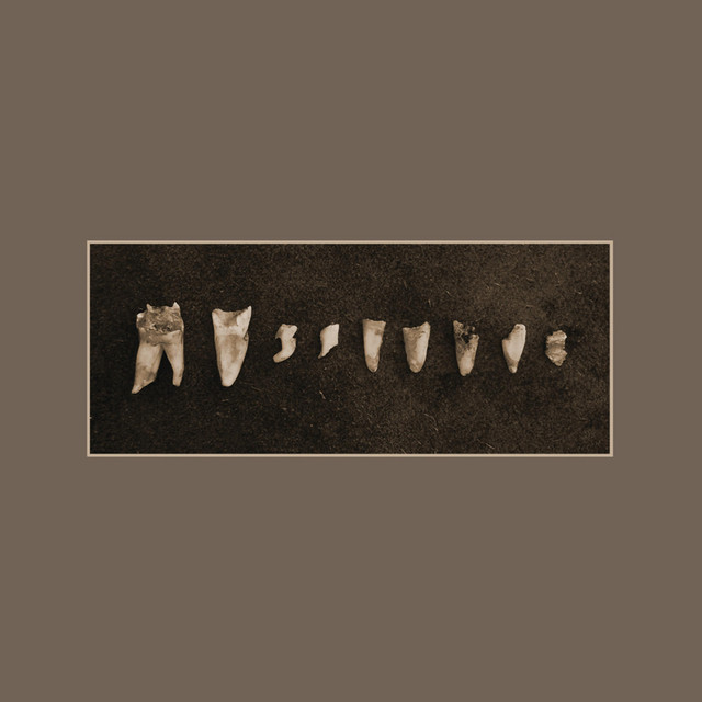 Austere cover art