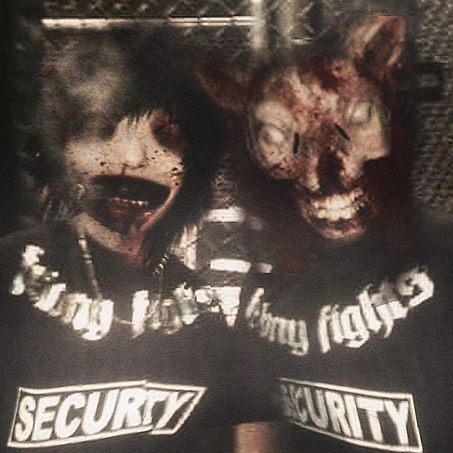 FELONY FIGHTS