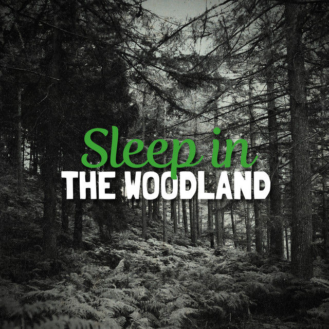 Woodland Waterways